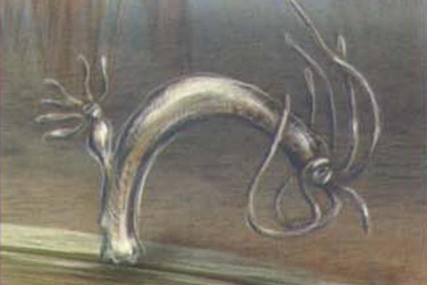 Кракен без тор