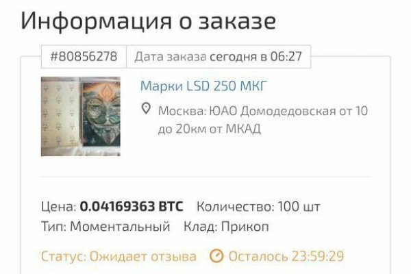 Darkmarket зеркало