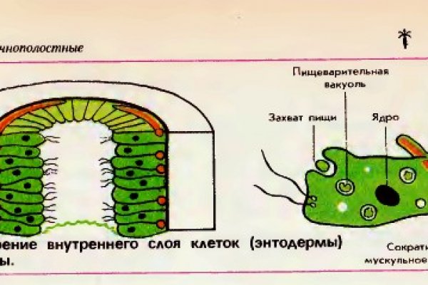 Кракен сайт работает