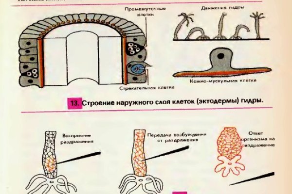 Кракен как войти через тор