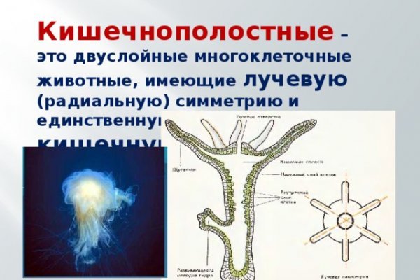 Кракен купить мефедрон