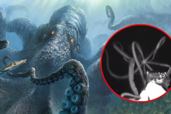 Kraken ссылка tor официальный сайт